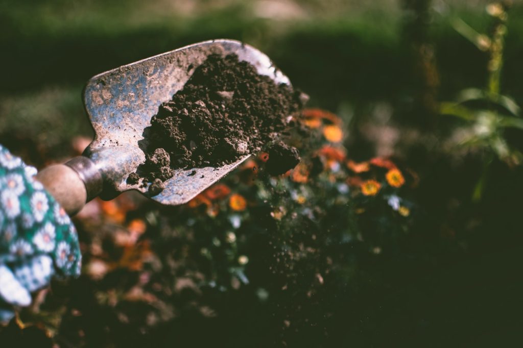 le compost